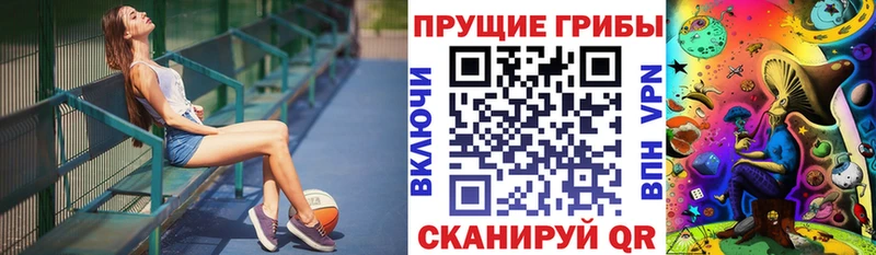 Псилоцибиновые грибы Cubensis Купить закладки Тольятти