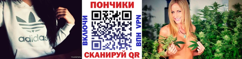 Конопля план Купить Тольятти